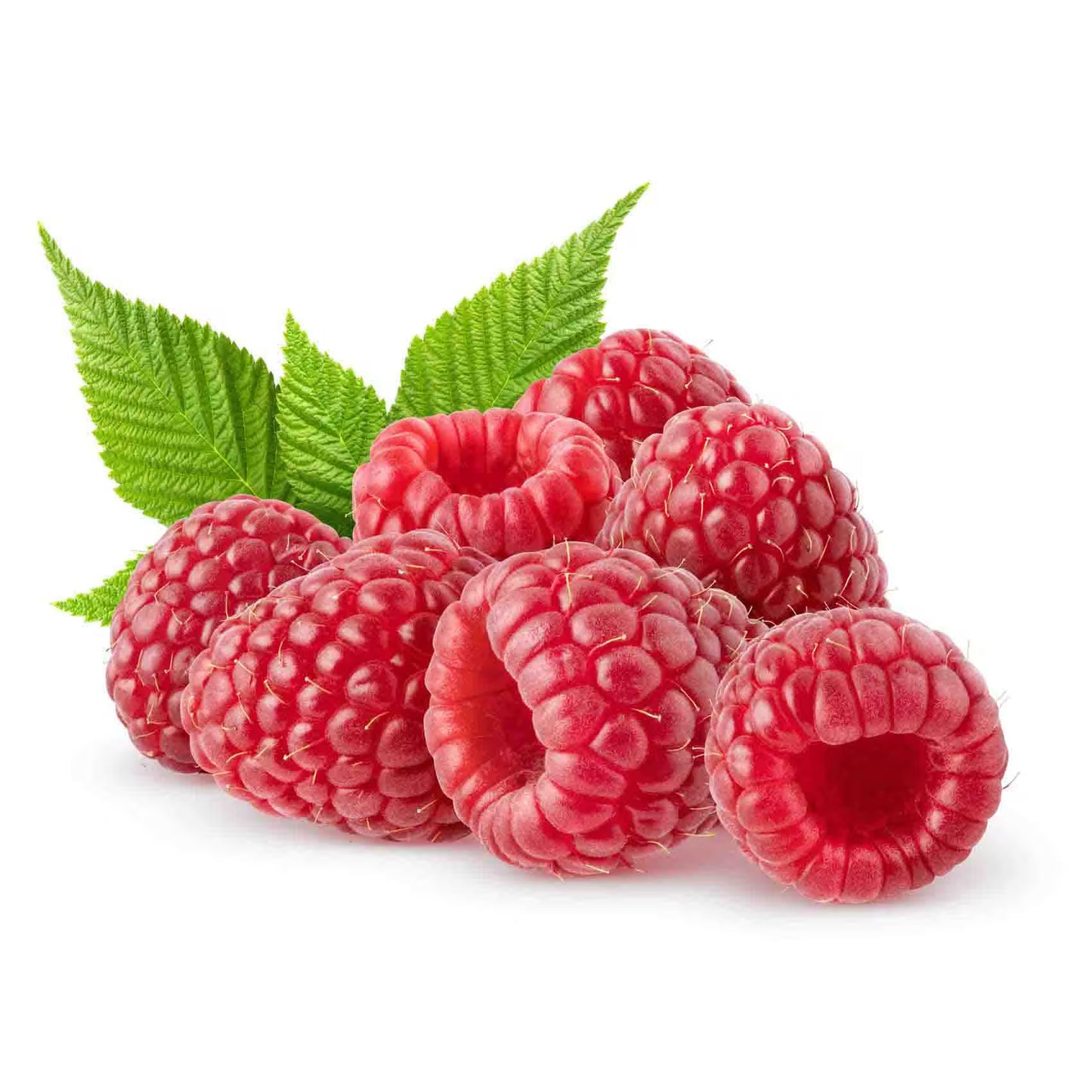 Raspberry 125 gm. رسبيري