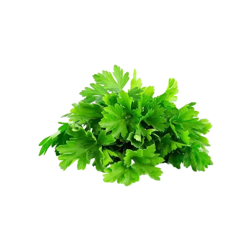 parsley 1 piece بقدونس