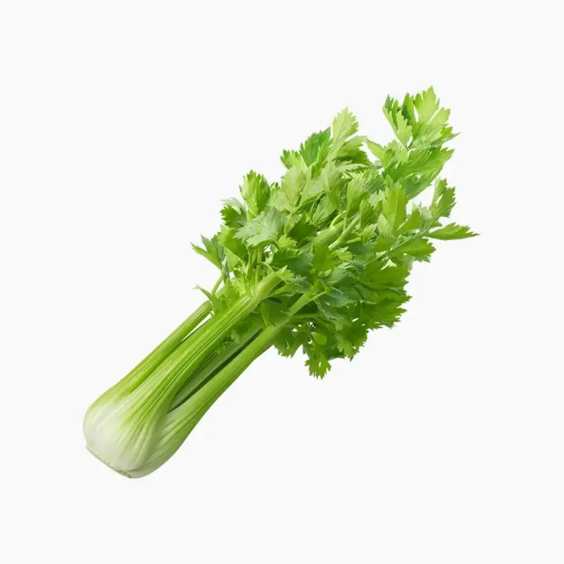 Celery 1 piece