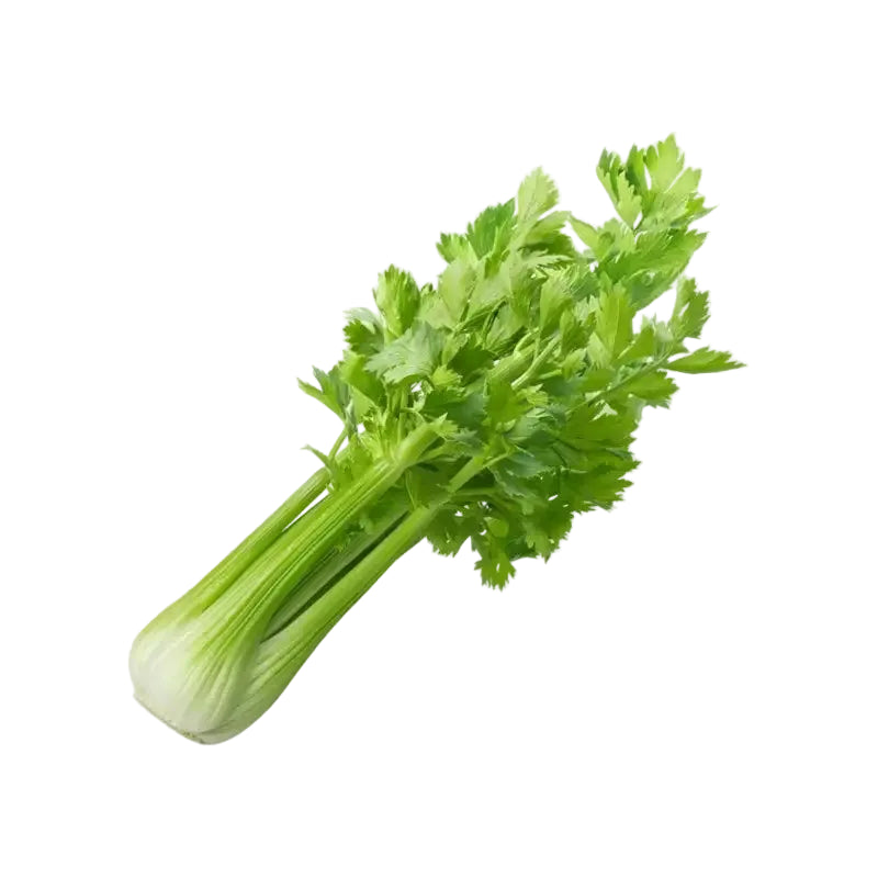 Celery 1 piece كرفس