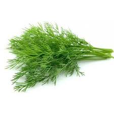 dill 1 piece