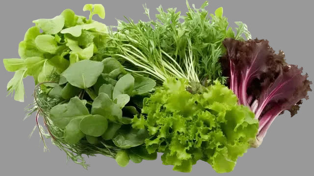 green leaves ورقيات