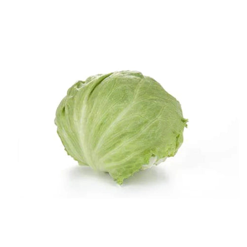 Iceberg Lettuce