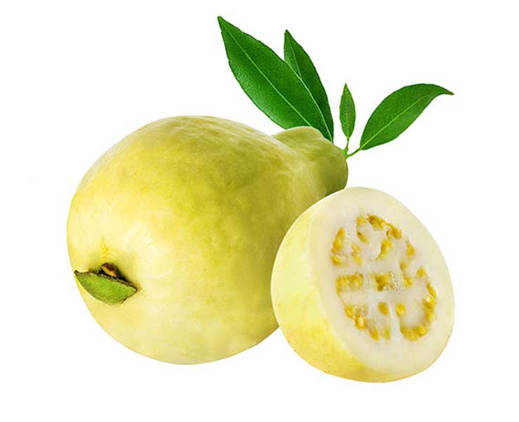 guava
