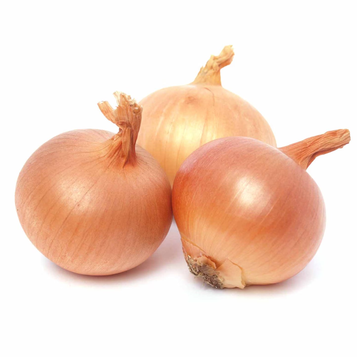 Onion