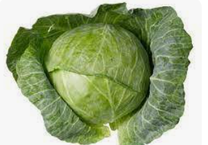 cabbage baldy 1 Piece. كرنب بلدي